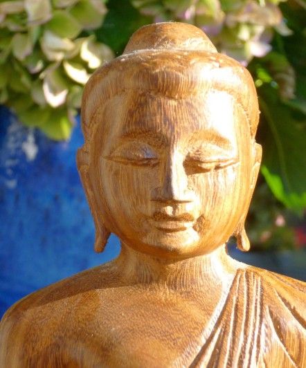 Unsere Philosophie: ganzheitliche Medizin